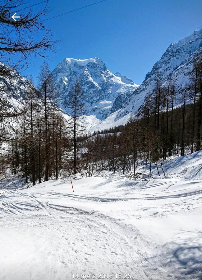 Le Panorama - Appartement à Arolla face aux montagnes à 150m des pistes Evolène Extérieur photo