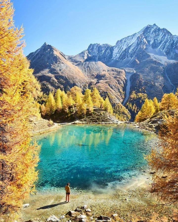 Le Panorama - Appartement à Arolla face aux montagnes à 150m des pistes Evolène Extérieur photo