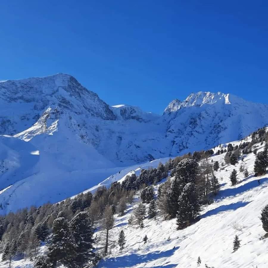 Le Panorama - Appartement à Arolla face aux montagnes à 150m des pistes Evolène Extérieur photo